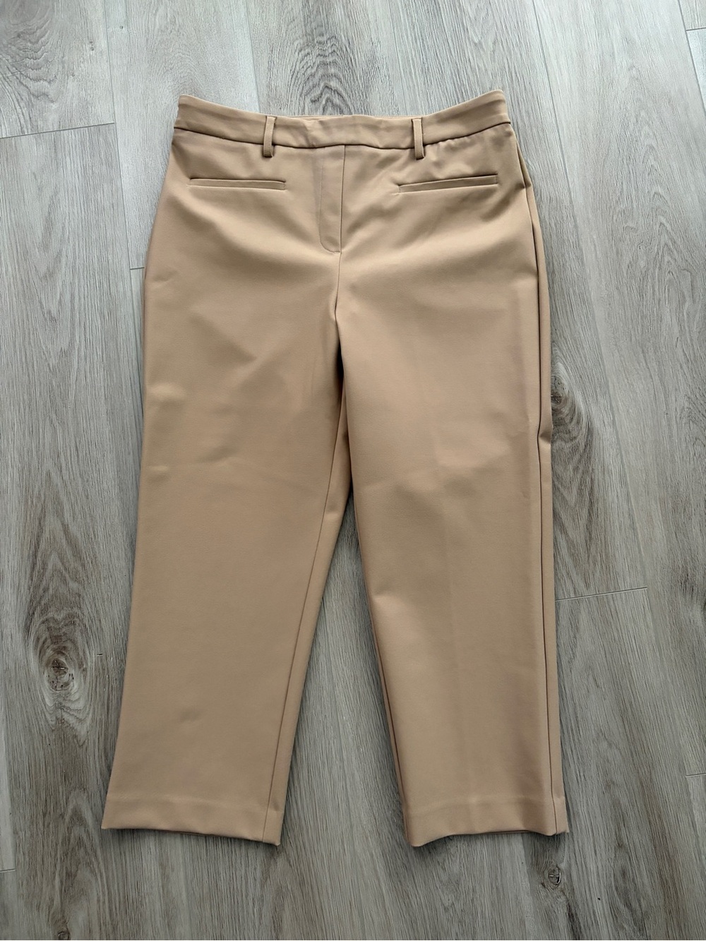 Rachel Zoe Women's Tan Crop Pull On Stretch Dress Pants Size 10